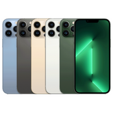 iPhone 13 Pro Max Full Refurbishment